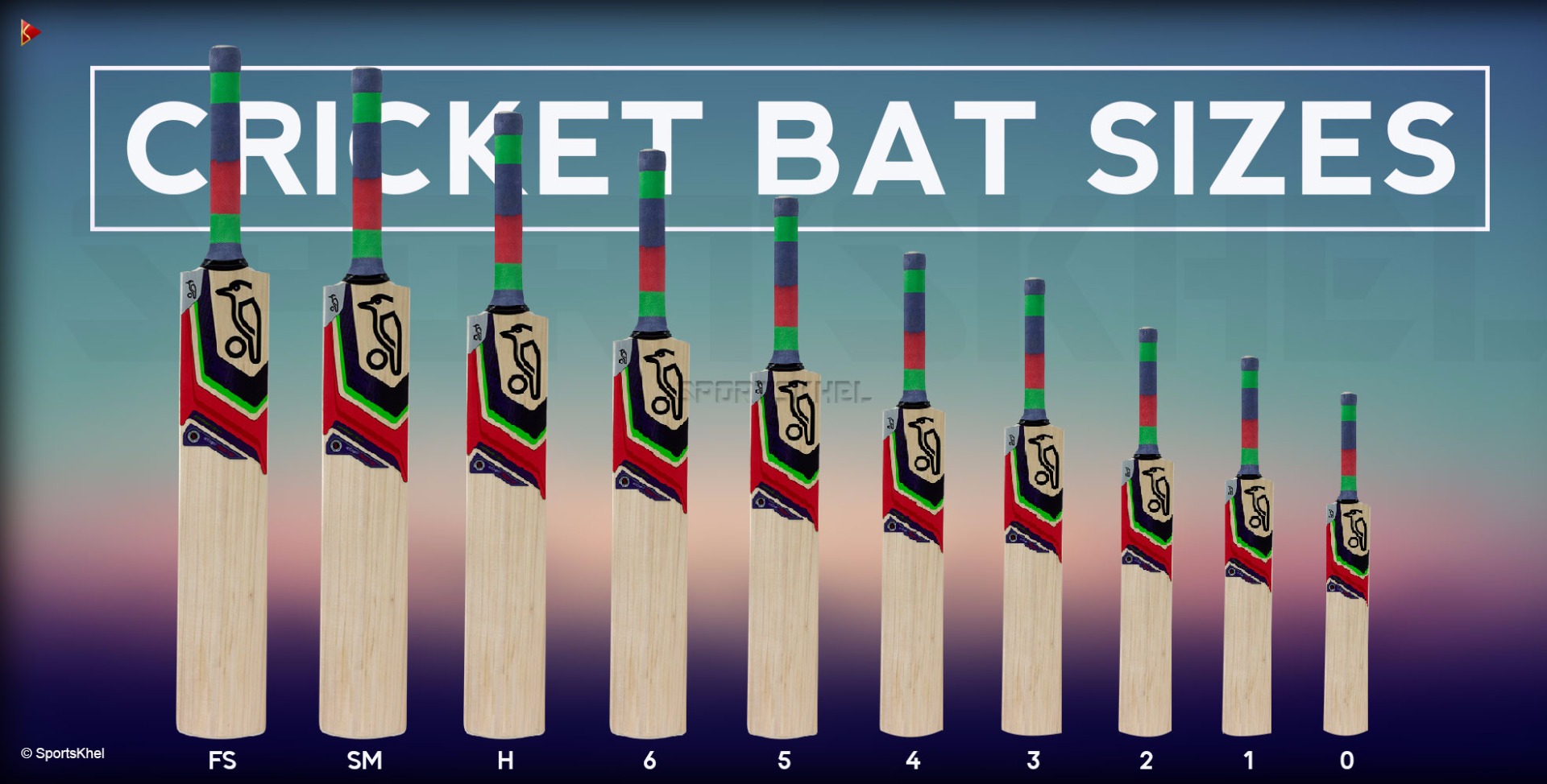 How to choose a Cricket bat - Cricket Buyers Guide