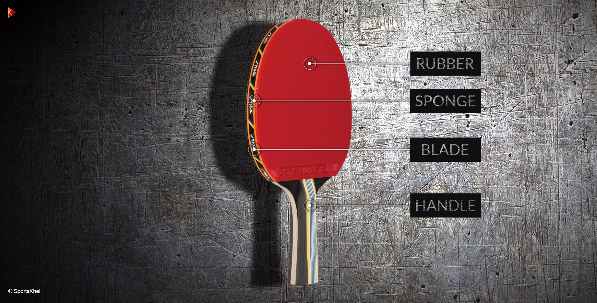 How to choose a Table Tennis Bat -Table Tennis Guide