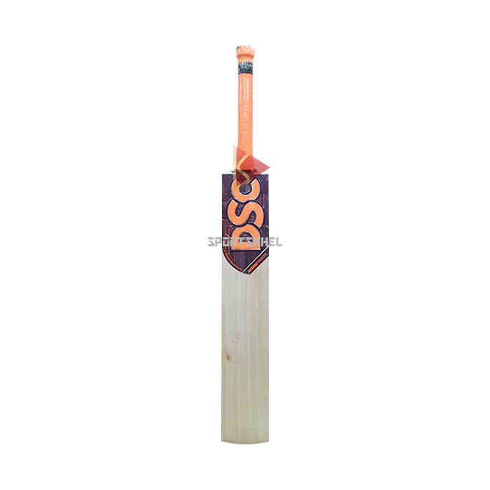Dsc intense ferocity cricket bat clearance