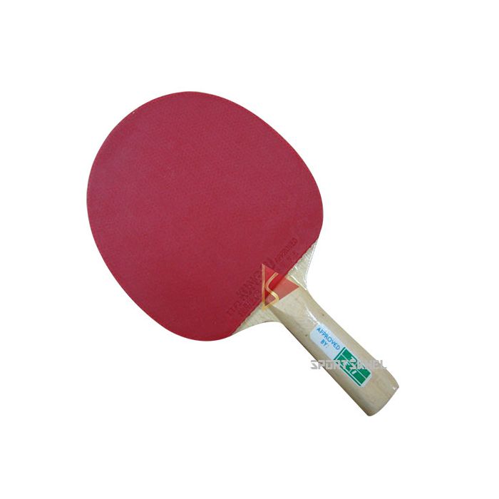 Buy GKI Kung Fu Table Tennis Bat Online