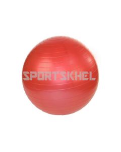 VectorX 55cm Gym Ball