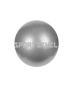 VectorX 95cm Gym Ball