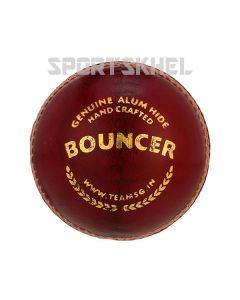 SG Bouncer Cricket Ball (12 Ball)