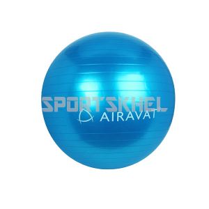 Airavat 4504 Gym Ball 65 cm