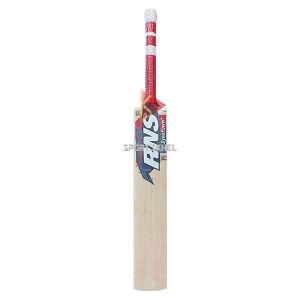 RNS Dyna Power Kashmir Willow Cricket Bat Size Men