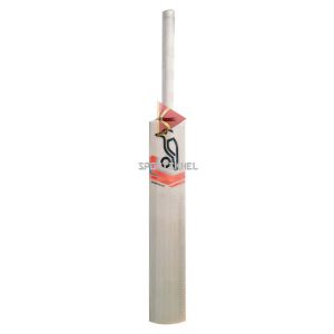 Kookaburra Rapid Prodigy 20 Kashmir Willow Cricket Bat Size Men