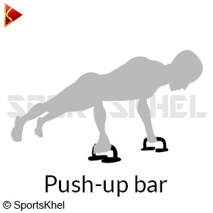 Vector X Push Up Bars Fitness Workout 